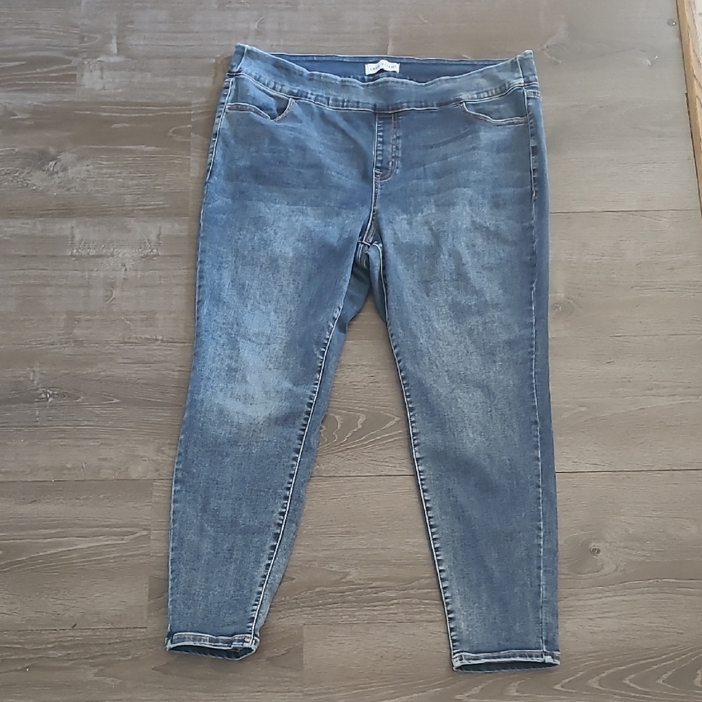 Lane Bryant Blue Jeggings with Tapered Fit